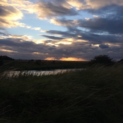 stack137's profile picture. I'm biodegradable