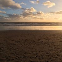 Peter Simon (@pmsimon75) 's Twitter Profile
