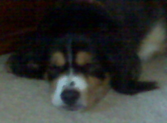 uncdeac's profile picture. Life’s too short to live with regrets. Show people your best especially when they show you their worst.