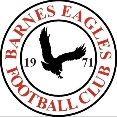 Barnes Eagles - Sunday League Team Plying their trade in Chiswick & District Premier Division.