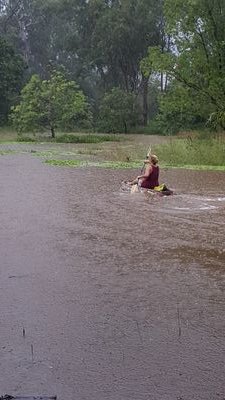 SonyaJoslin's profile picture. just winging it