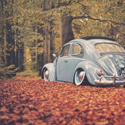 _joshcalvert's profile picture. (o\_!_/o)