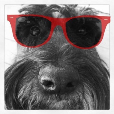 MasonTeach's profile picture. All things Keyboard and Theatre, grateful for the love of my husband.