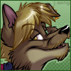 Inner city wolf/coyote hybrid!
