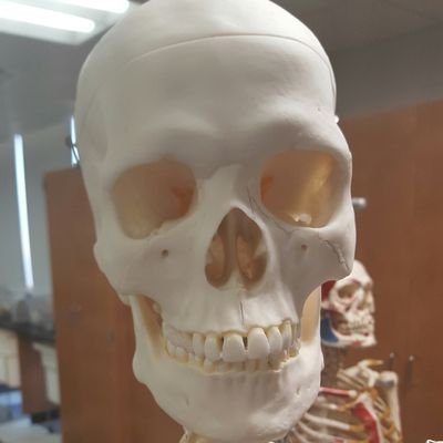 dmarmy_05's profile picture. 