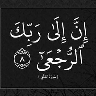mahmoudhamdy_1's profile picture. 