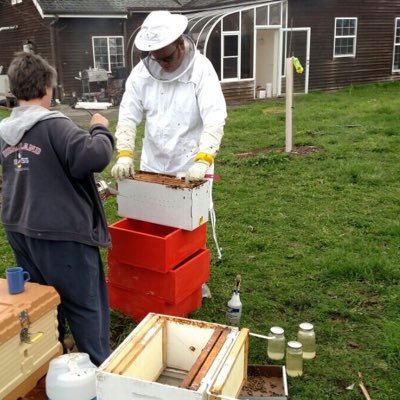 Fan of Mariners, Seahawks, Kraken, Sun Devils and hopefully again Sonics. Amateur Apiarist