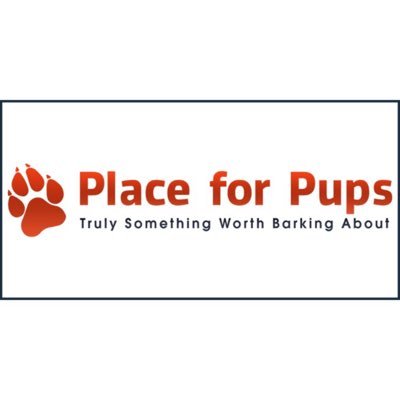 PlaceForPups's profile picture. Welcome to Place For Pups! The place you can find anything to satisfy all your pup needs. Truly something worth barking about, from our pups to yours!