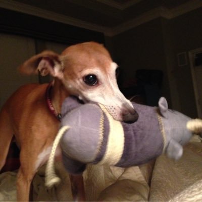 Margo75M's profile picture. 