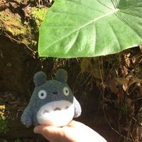 KUMA (@yu_hsin_tsai) 's Twitter Profile