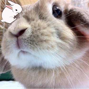 Z56さんのプロフィール画像