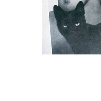 Dream_Panther's profile picture. 