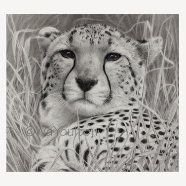 maddtabb's profile picture. Deception Detective