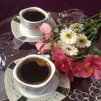 امير بلا امارة (@t5xb7cn7jqblqqm) 's Twitter Profile