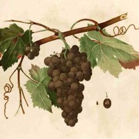 Biblioteca RJB-CSIC (@biblioteca_rjb) 's Twitter Profile Photo Biblioteca RJB-CSIC (@biblioteca_rjb) 's Twitter Profile Photo