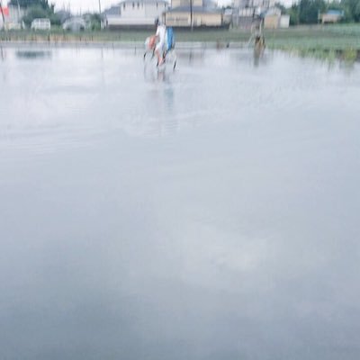 シアトル在住、ワシントン大学生です。暇な時はテニス、ハイキング、ゴルフ、スポーツ観戦など色んなことしてます。 よろしくお願いします。