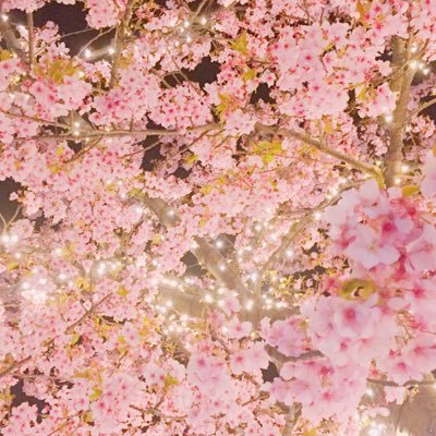 えんどぅのプロフィール写真