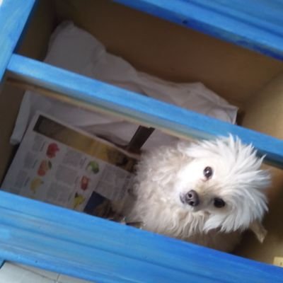 Veroyquiero's profile picture. 