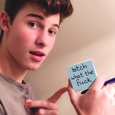 Shawn_Memedes's profile picture. Shawn mendes is a walking meme // @levitatemendes