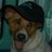 blandda's profile image