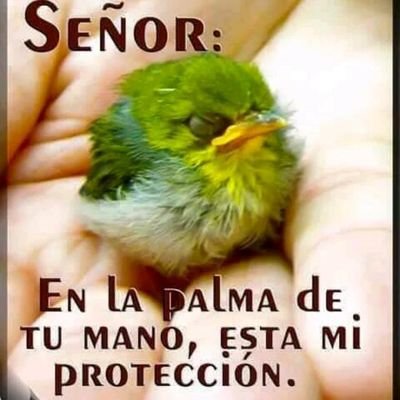 Herediana ❤💛 CSH
Estudiante UNA
Amante de los animales😻
