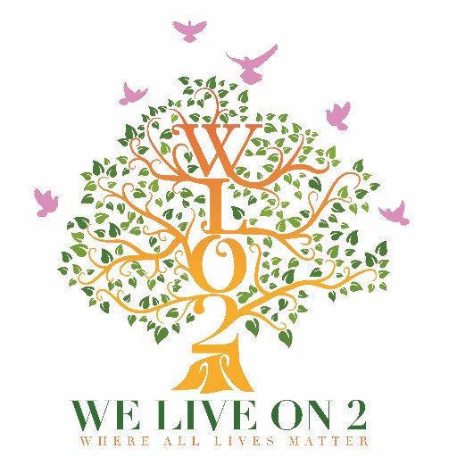 The mission of WeLiveOn2 is to help reduce Domestic violence and Gun violence in the City of Chicago through legislative advocacy, education, and mentoring.