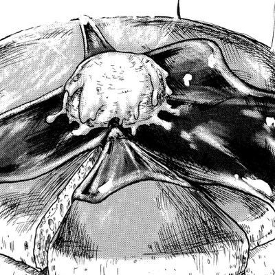 South 脱稿 On Twitter お前らの漫画のトラウマを挙げろ ねじ