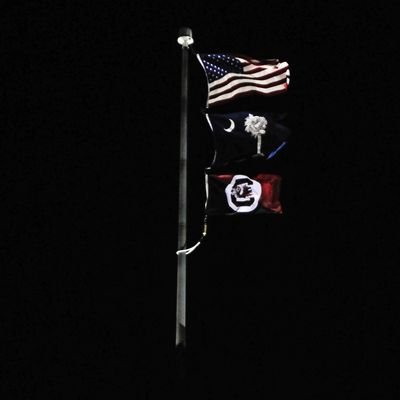 Brad2Chapman's profile picture. Father of two boys and husband to @MrsChapman210 #USMC