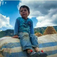 Ali KARA💧 (@mustafa82206540) 's Twitter Profile