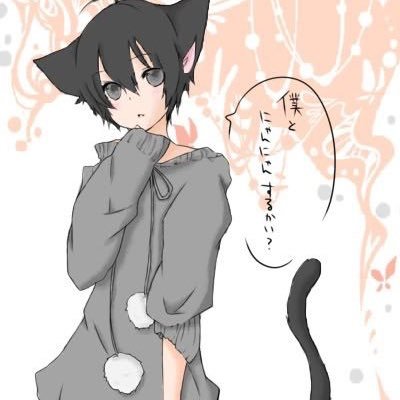 single || slave needing a master || neko || i love cuddles and anything cute || roleplay with me if you like