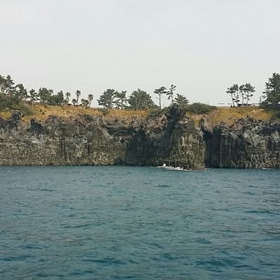 4bckI3KjwGQbhNv's profile picture. 부산남자 
항상 여자가 고파요