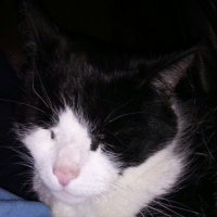 Lindsay Parry RD (@lindsayparryrd) 's Twitter Profile