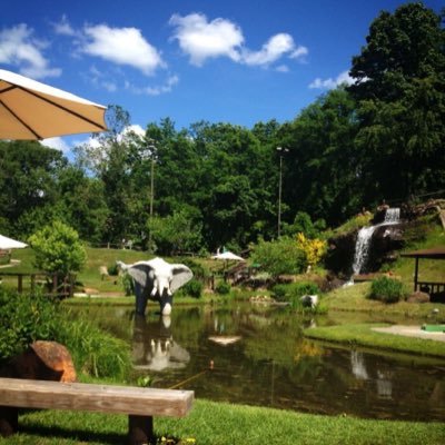Tropical Gardens On Twitter Sunny Days Are The Best Minigolf