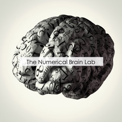The Numerical Brain Lab, headed by Gavin R Price, uses behavioral & neuroimaging methods to investigate numerical & mathematical cognition. Acct managed by DJY.