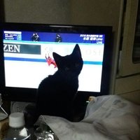 冬樹 (@hithugi_yu) 's Twitter Profile