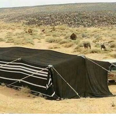 a__ooop's profile picture. 