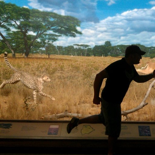 jeremiahsettles's profile picture. 