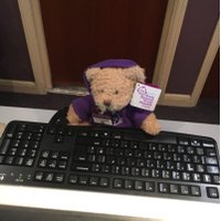 Swindon North PI (@swindonnorthpi) 's Twitter Profile