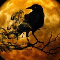 Serenity (@nevermore2fall) 's Twitter Profile