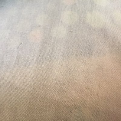 suzu_991225's profile picture. 