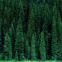 kenan (@cilalisac) Twitter profile photo