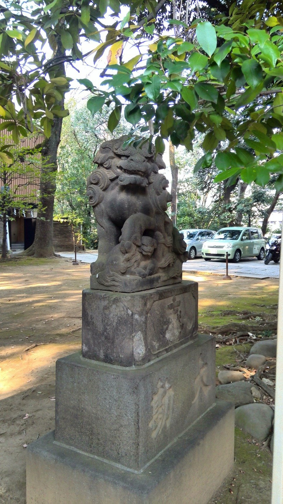 tomさんのプロフィール画像