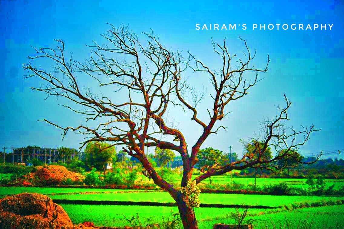 yadarisairam19's profile picture. 