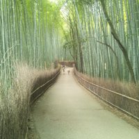 ころころ (@rainpoca) 's Twitter Profile