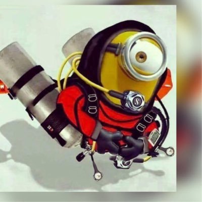 miche969's profile picture. 