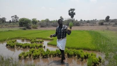 AAgiri1947's profile picture. 