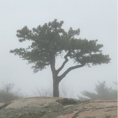 RobinHa37969780's profile picture. 