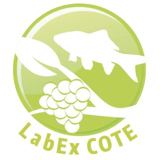 LabEx COTE Profile