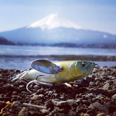 埼玉でバス釣りやってます‼
埼玉のバス釣りさんと仲良くしたいんでお願いします。
無言フォローすいません‼