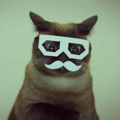 s3n_gnig1's profile picture. 大学垢 聖学院大学1年/児童学科 無言フォロー失礼します。